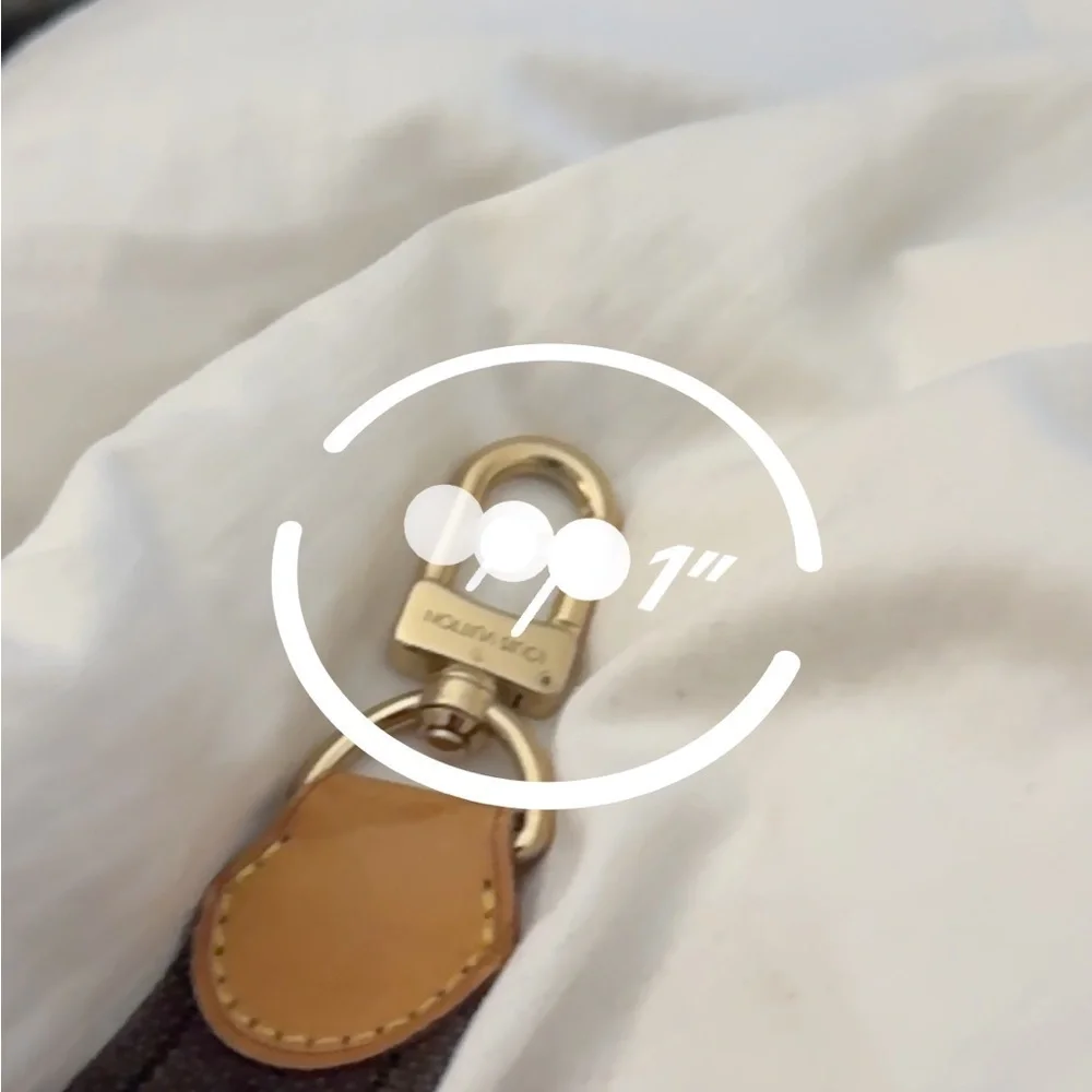 Louis Vuitton Brown Adjusted Bag Strap